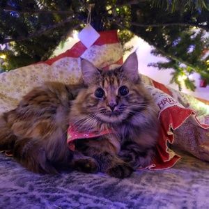 Meet your Posher, Jess